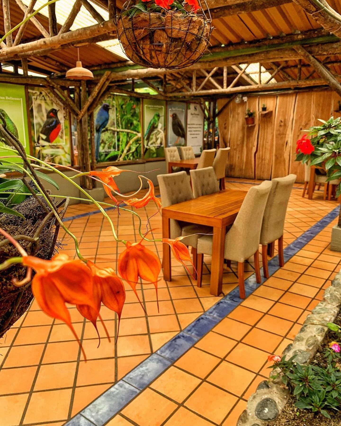 Hotel Termales San Vicente Санта Роса де Кабал Екстериор снимка